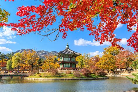 Best South Korean Tourism Websites for Travel Pros