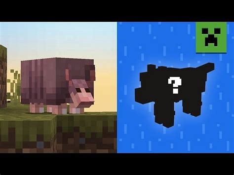 Minecraft armadillo guide: How to find, breeding, uses, and more