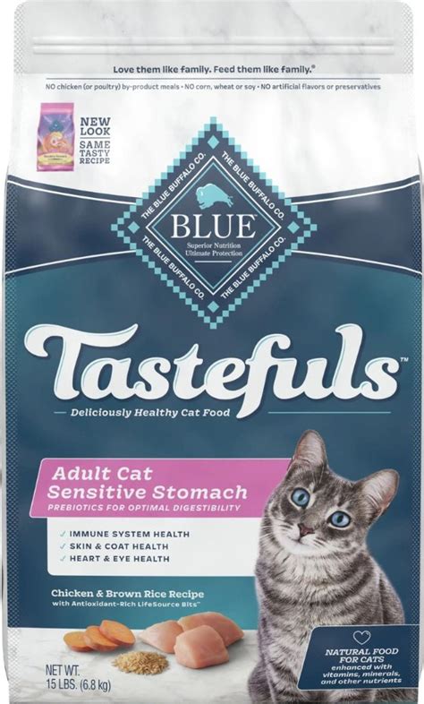 Best Dry Cat Food for Indoor Cats: Top Picks for Optimal Health