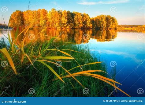 Scenic Autumn Nature. Autumn Landscape on Lake Shore Stock Photo - Image of trees, blue: 156157196