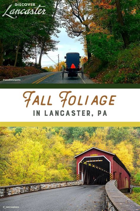 Fall Foliage in Lancaster, PA | Lancaster county, Fall foliage, Lancaster