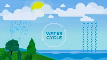 Water Cycle (3-5 Version) Video For Kids | 3rd, 4th & 5th Grade