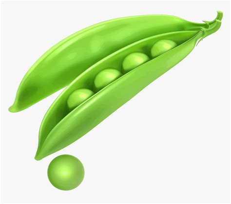 Pea Transparent Png - Peas In Pod Drawing, Png Download , Transparent Png Image - PNGitem