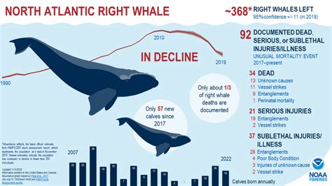 'Medusa’ spotted with first calf of the North Atlantic right whale season | Fox Weather