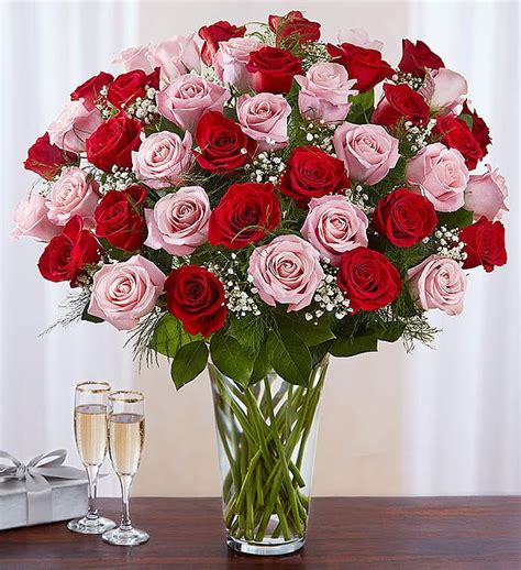 Ultimate Elegance™ Long Stem Pink & Red Roses | 1800Flowers - 100276