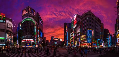 Nature's Neon in Shinjuku, Japan - Travel Caffeine