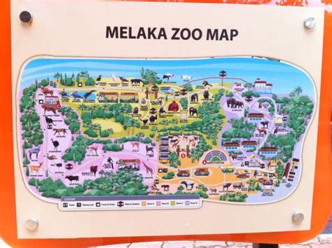 Loved the elephants and dinosaur section - Reviews, Photos - Zoo Melaka ...