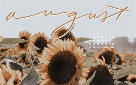 Free, Downloadable Tech Backgrounds for August 2020! August Wallpaper, Cute Fall Wallpaper, Mac ...