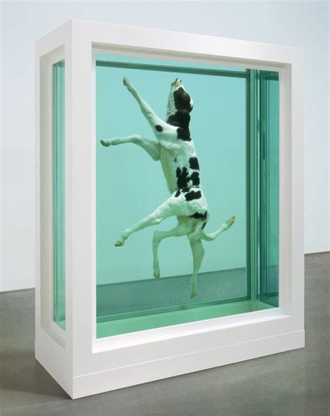 250 best images about Damien Hirst on Pinterest | Stainless steel, In search of and A thousand years