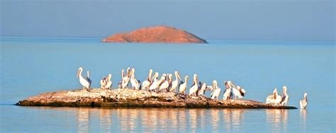 Lake Nasser Cruises • Djed Egypt Travel