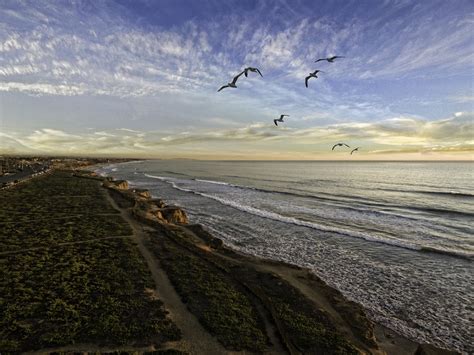 Beach Resorts in Carlsbad CA - Ocean Palms Beach Resort