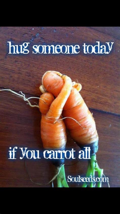 Pin by Laura Rowland on Funny | Carrots, Food humor, Funny pictures