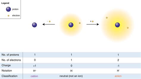 Difference Between Cation and Anion