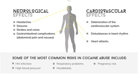 Cocaine and Your Brain: What are the Risks and Side Effects? | Ashwood Recovery