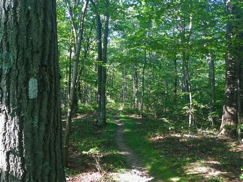 High Point State Park Monument Hike • NYSkiBlog