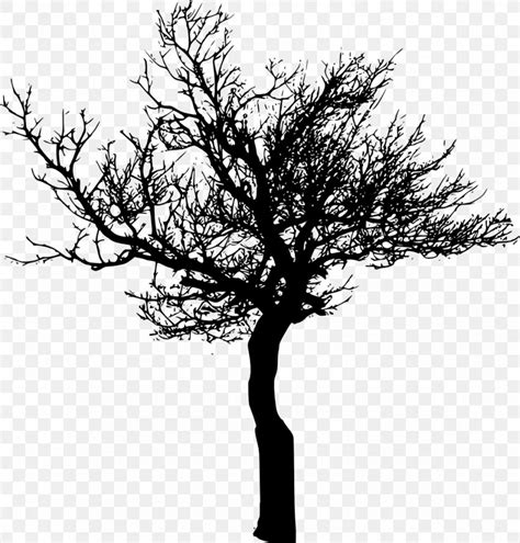 Tree Branch Desktop Wallpaper Clip Art, PNG, 979x1024px, Tree, Black And White, Branch, Display ...