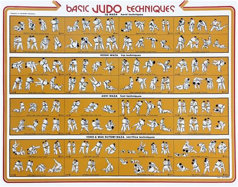 Basic Judo Techniques | Judo, Judo throws, Grappling martial arts