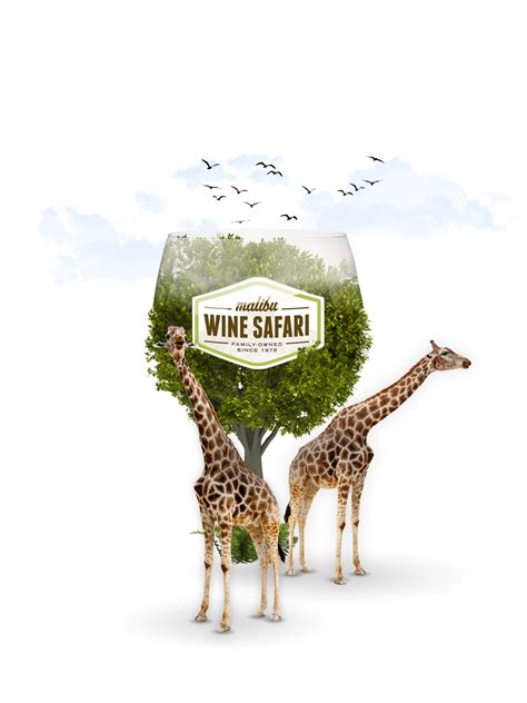 Malibu Wine Safari - Brand Knew