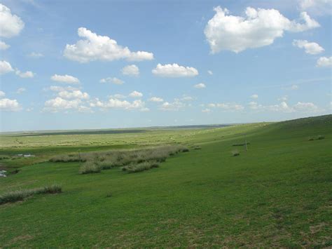 Mongolian Grasslands, Alpine Meadows & Forest Steppe (PA44) | One Earth