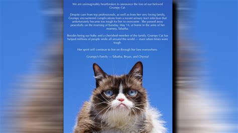 Internet star 'Grumpy Cat' has died