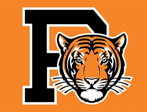 Princeton Tiger mascot | Princeton tigers, Tiger art, Princeton university