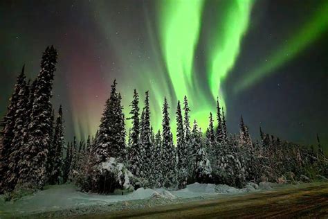 10 Exceptional Alaska Northern Lights Tours for 2024-2025 - Sea to Summit Alaska