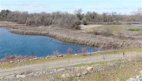 Another $5 million steered to Oroville Wildlife Area project – Oroville ...