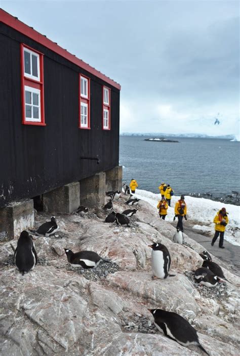 Port Lockroy Antarctica - Photo of the Day | Round the World in 30 Days