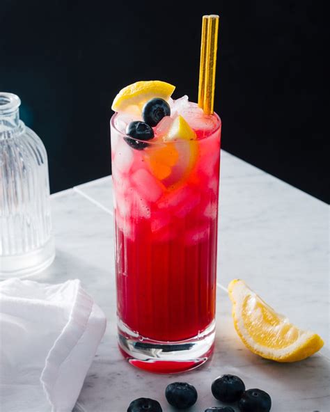 Blueberry Vodka Lemonade – A Couple Cooks