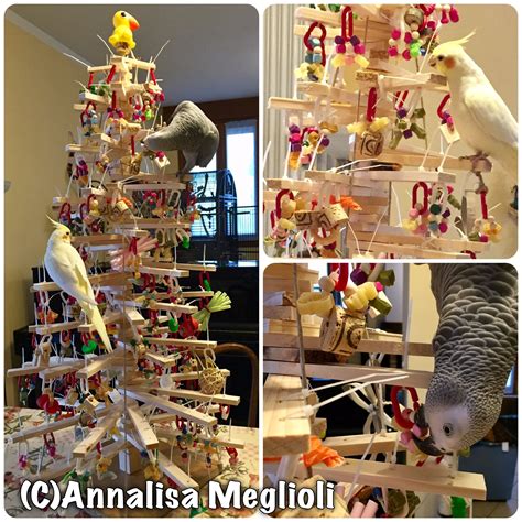 Christmas tree just for parrots! Made with wood and decorated with many ...