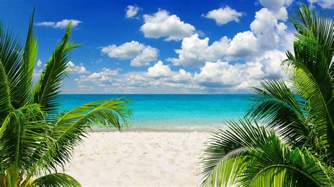 Tropical Paradise Wallpapers - Wallpaper Cave