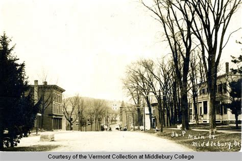 Elms at Middlebury- A History – The Middlebury Landscape