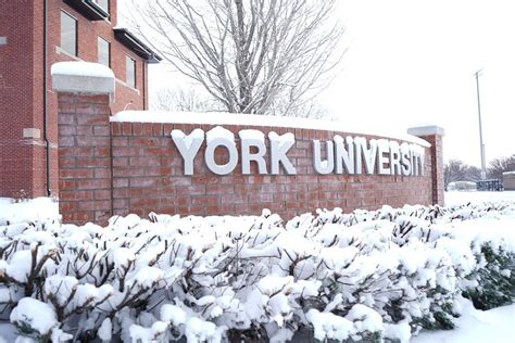 York University: Ranking, Courses, Fees, Admission & Scholarships