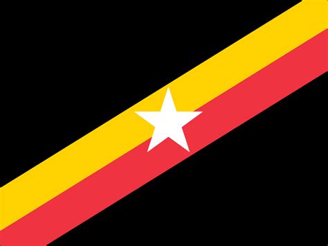 Flag of the belgian influenced Congo : r/flags