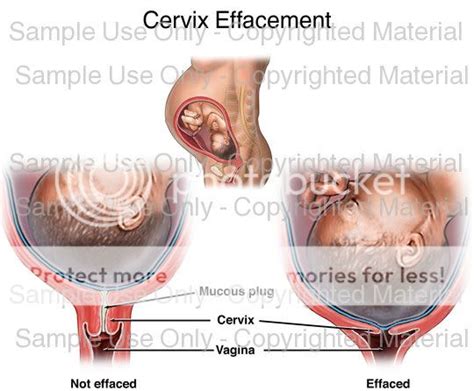 Helpful charts - BabyCenter