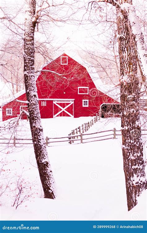 Red barn stock photo. Image of tree, snow, winter, cold - 289999268