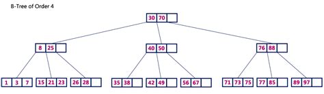 Data Structures Tutorials - B Tree of order m | Example