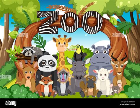 Zoo animals group in flat cartoon style illustration Stock Vector Image & Art - Alamy