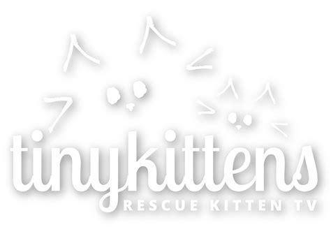 Cats and kittens available for adoption - TinyKittens.com