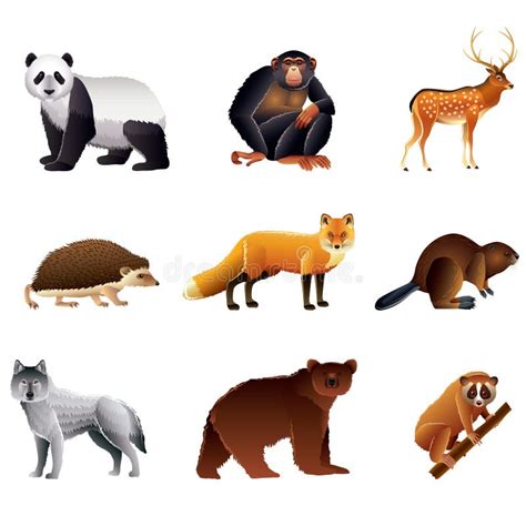 Asian animals vector set stock vector. Illustration of wildlife - 37184133