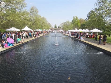 Subaru Cherry Blossom Festival at Fairmount Park | Cherry blossom festival, Fairmount, Cherry ...