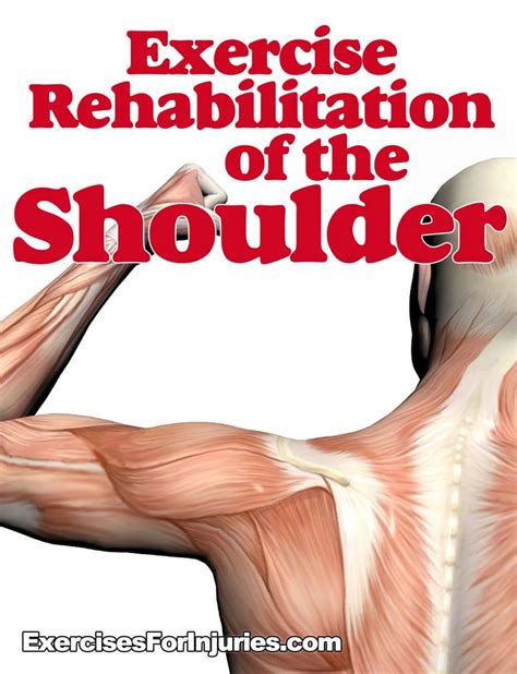 Exercise Rehabilitation of the Shoulder - Exercises For Injuries