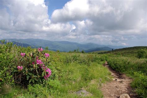 Art Loeb Hiking Trail, North Carolina