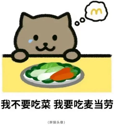 21岁纯爱战神“胖猫”事件后续，魔幻照进现实_订单_门店_处理