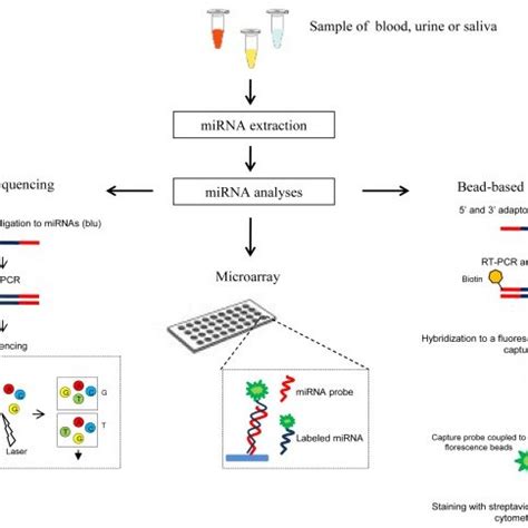 Main methods used for circulating miRNA detection. | Download ...