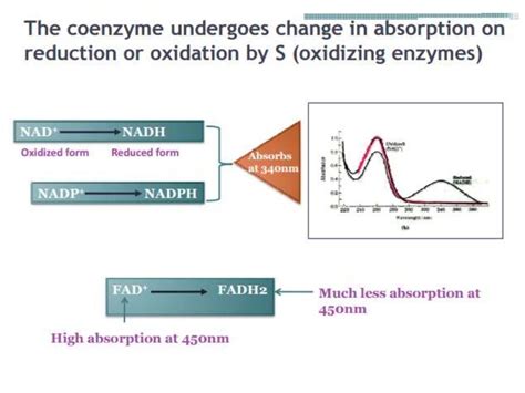 Enzymes assay ppt Best