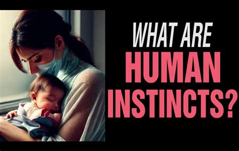 What Are Human Instincts?