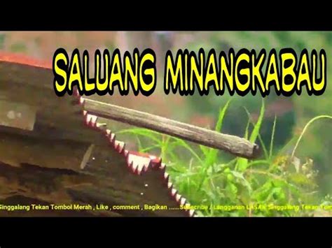 Saluang klasik Singgalang || saluang rancak bana - YouTube Music