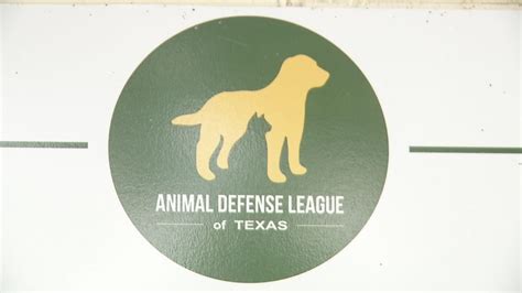 Animal Defense League Fall in Love Adoption Special event gives pets new homes | WOAI