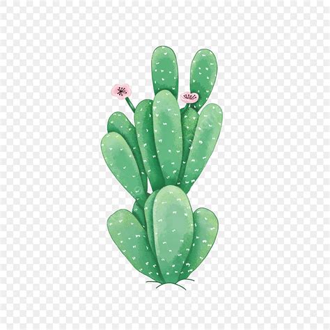 Hand Painted Cactus Hd Transparent, Hand Painted Green Watercolor Cactus, Cartoon Cactus, Hand ...